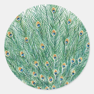 Peacock Feathers Ronde Sticker