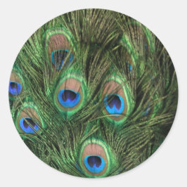 Peacock Feathers Ronde Sticker