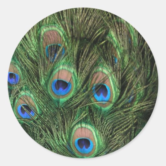 Peacock Feathers Ronde Sticker (Voorkant)
