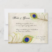 Peacock Feathers sparen de Datum Blauw uitnodigen Save The Date (Achterkant)