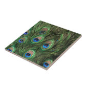 Peacock Feathers Tegeltje (Zijkant)