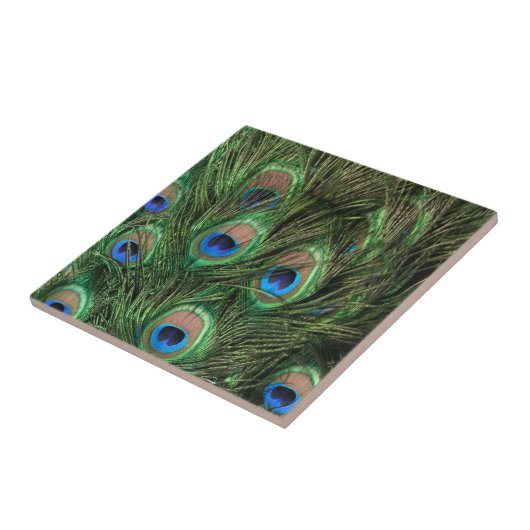 Peacock Feathers Tegeltje (Zijkant)