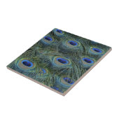 Peacock Feathers Tegeltje (Zijkant)