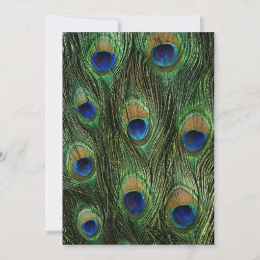 Peacock Feathers - Vrijgezellenfeest Kaart (Achterkant)