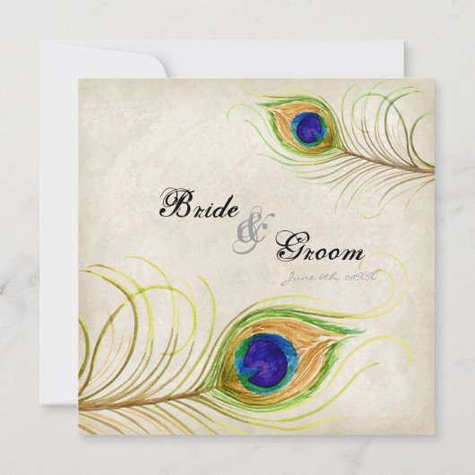 Peacock Feathers Weddenschap Kaart (Achterkant)