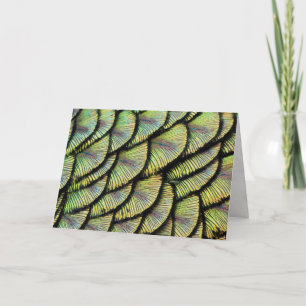 Peacock Feathers Wenskaart Kaart