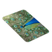 Peacock Flexible Magnet Magneet (Rechterzijde)