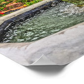 Peacock fontain & Roos Garden in Winter Park FL Poster (Hoek)