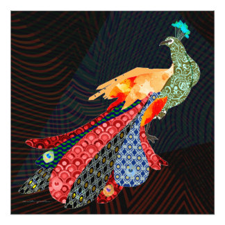 Peacock Foto Afdruk
