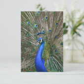 Peacock Foto Bedankkaart (Staand voorkant)