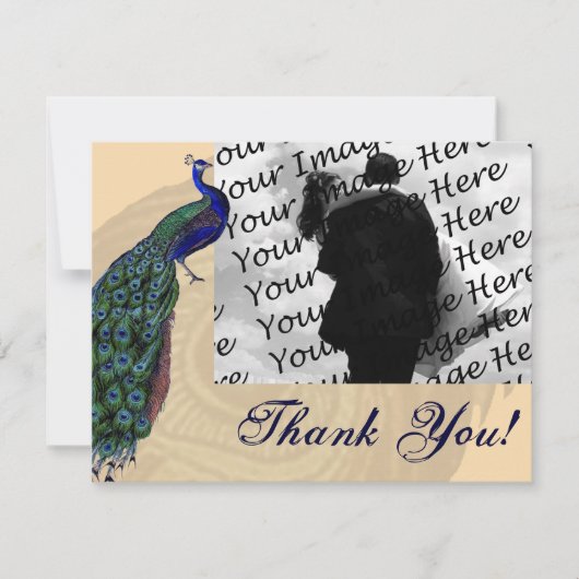  Peacock Foto Dank je kaarten (Voorkant)