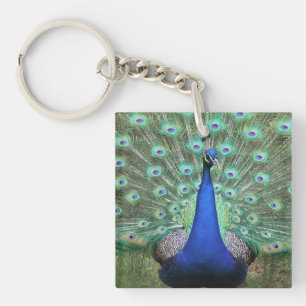 Peacock-fotografie op sleutelhanger