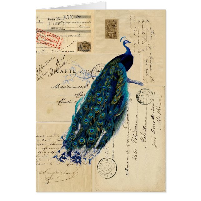 Peacock French Briefkaarten Card (Voorkant)