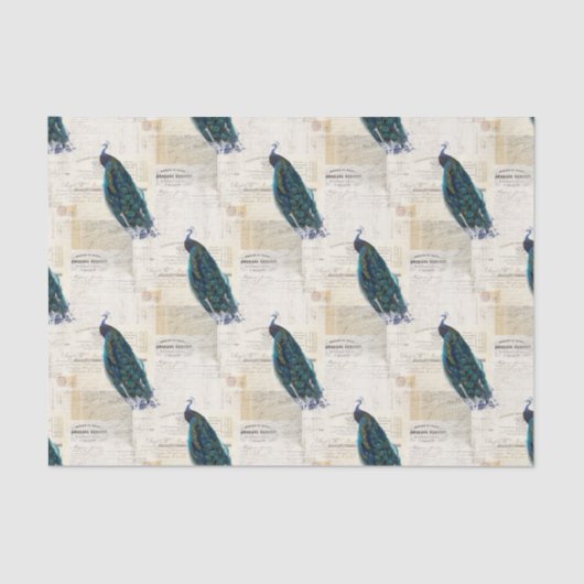 Peacock French Ephemera Tissue Paper Tissuepapier (Voorkant)