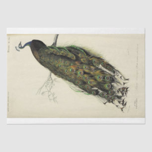 Peacock French Script Ephemera Decoupage Tissuepapier