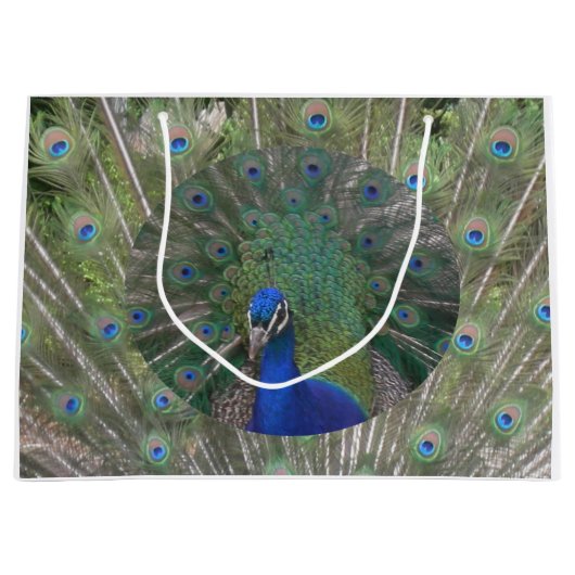Peacock Gift Bag Large Cadeauzakje (Voorkant)