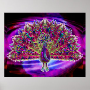 Peacock Glass 2A & 2B Poster Opties