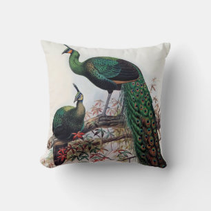 Peacock, groene peafowl pavo muticus 1872 ... kussen
