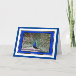Peacock Groeten Kaart