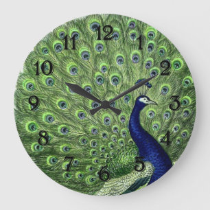  Peacock Grote Klok