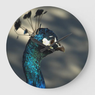 Peacock Grote Klok