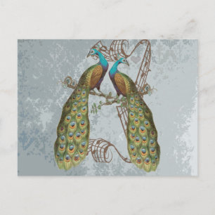 Peacock Grunge Damask op Silver Briefkaart