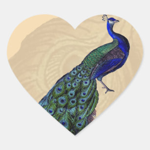  peacock Heart Stickers