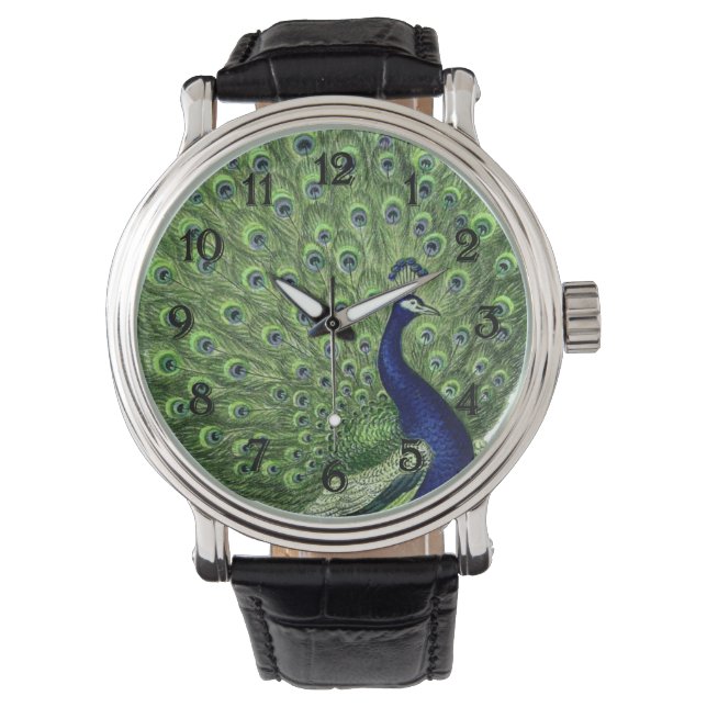  Peacock Horloge (Voorkant)