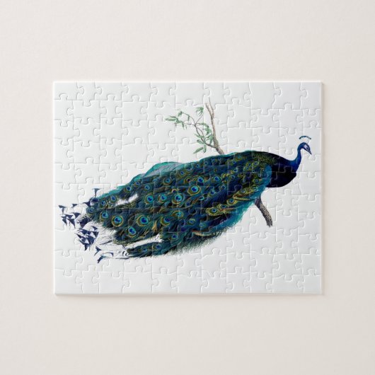 Peacock Illustratie Legpuzzel (Horizontaal)