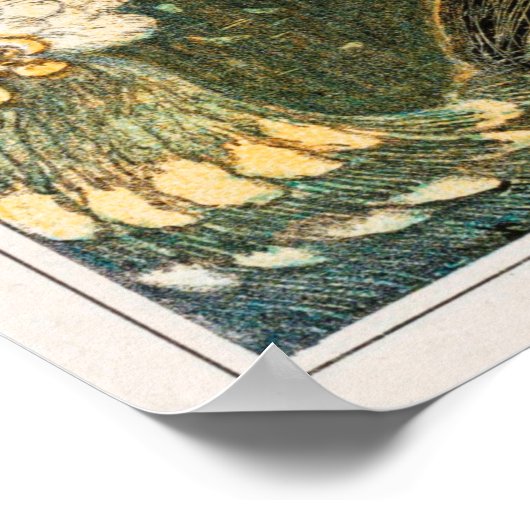  Peacock Illustration Poster (Hoek)