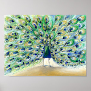Peacock in San Diego 2013 Poster
