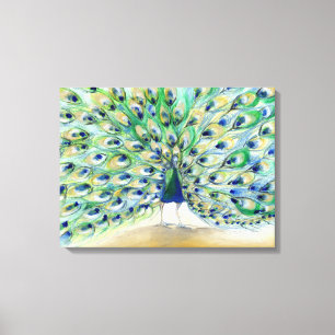 Peacock in San Diego 2 2013 Canvas Afdruk