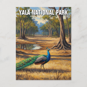 Peacock in Sri Lanka Yala National Park Reizen Briefkaart