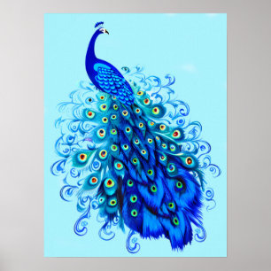 Peacock in Turquoise en Cobalt Blue Poster