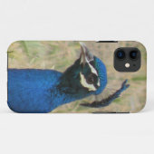 Peacock iPhone 5 Coque (Dos (Horizontal))