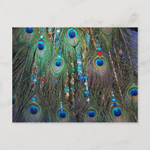 Peacock Jewelery Briefkaart