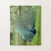 Peacock Jigzaag Legpuzzel (Verticaal)