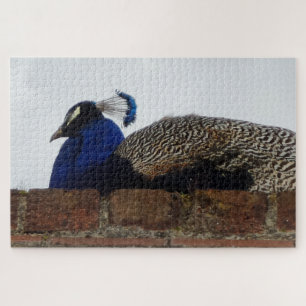 Peacock Jigzaag Puzzle Legpuzzel