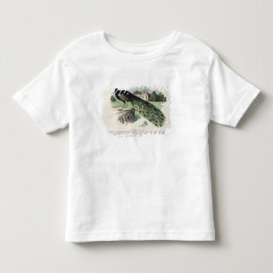 Peacock Kinder Shirts