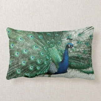 Peacock Kussen