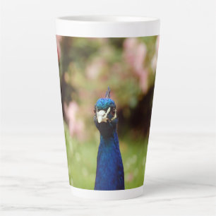 Peacock Latte Mok