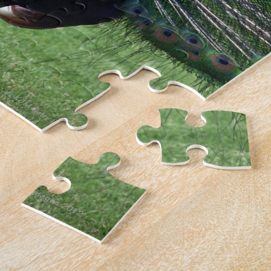 Peacock Legpuzzel (Zijkant)