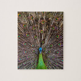 Peacock Legpuzzel