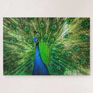 Peacock Legpuzzel