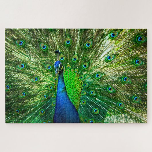 Peacock Legpuzzel (Horizontaal)