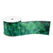 Peacock Lint (Spoel)