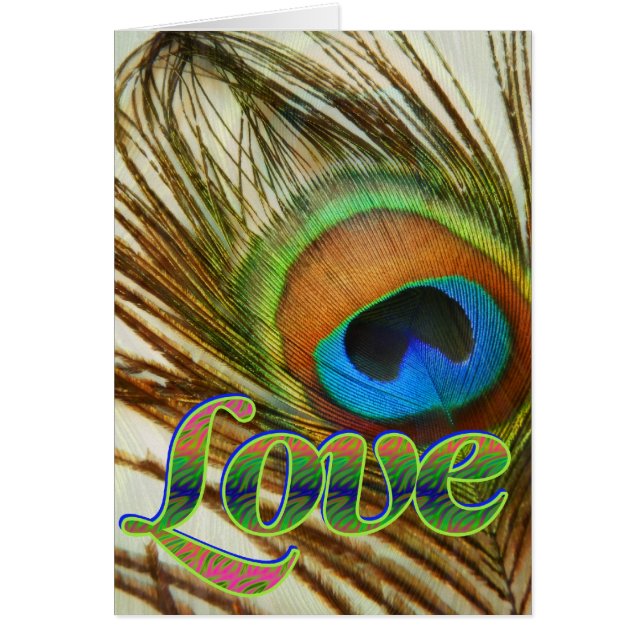 Peacock Love (Devant)