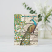 Peacock Love Bird Sitting in a Tree Save the Date Aankondigingskaart (Staand voorkant)