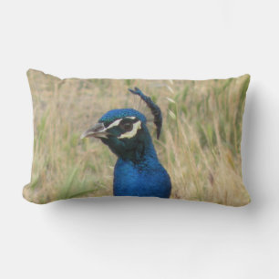 Peacock Lumbar Pillow Kussen