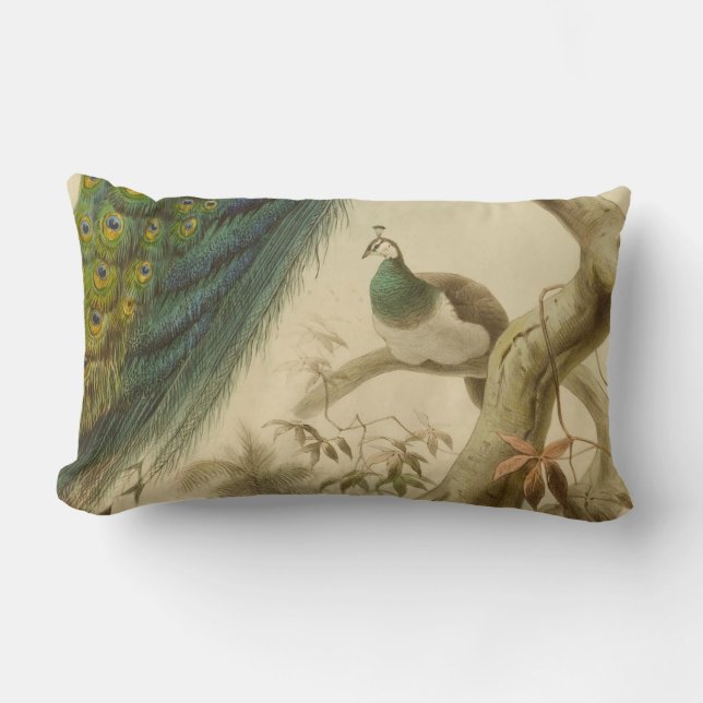  Peacock Lumbar Pillow Kussen (Voorkant)